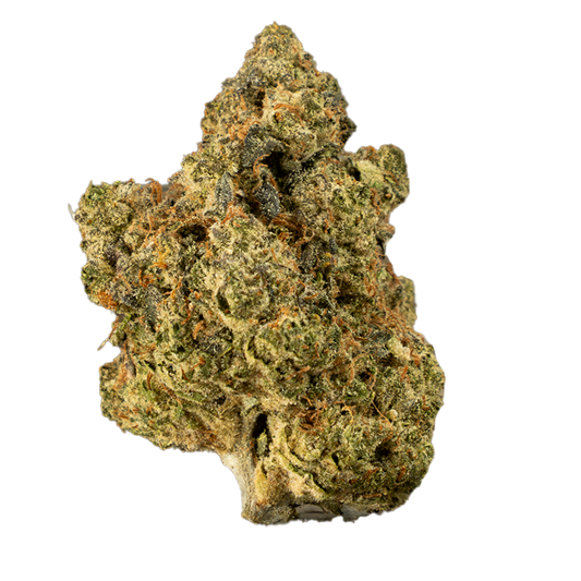 Forum Cookie (Indoors) - Strictly Dabs