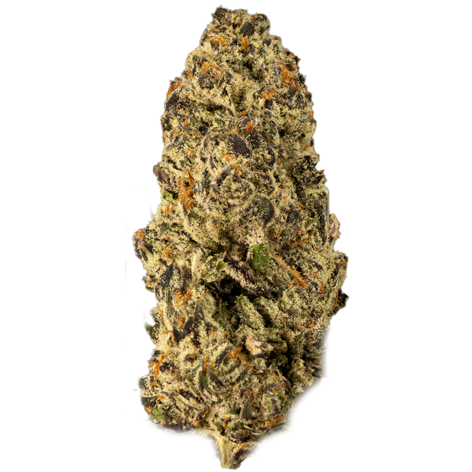 Gorilla Glue