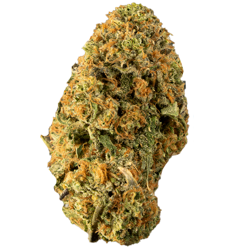 Zkittles (Indoorz)