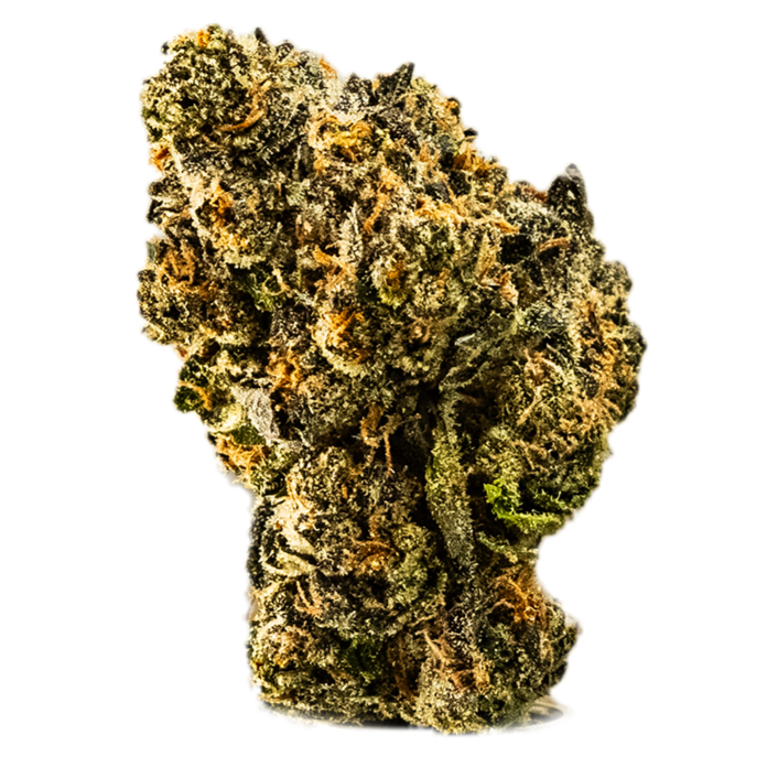 Apple Fritter