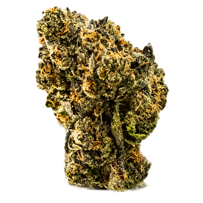 Apple Fritter