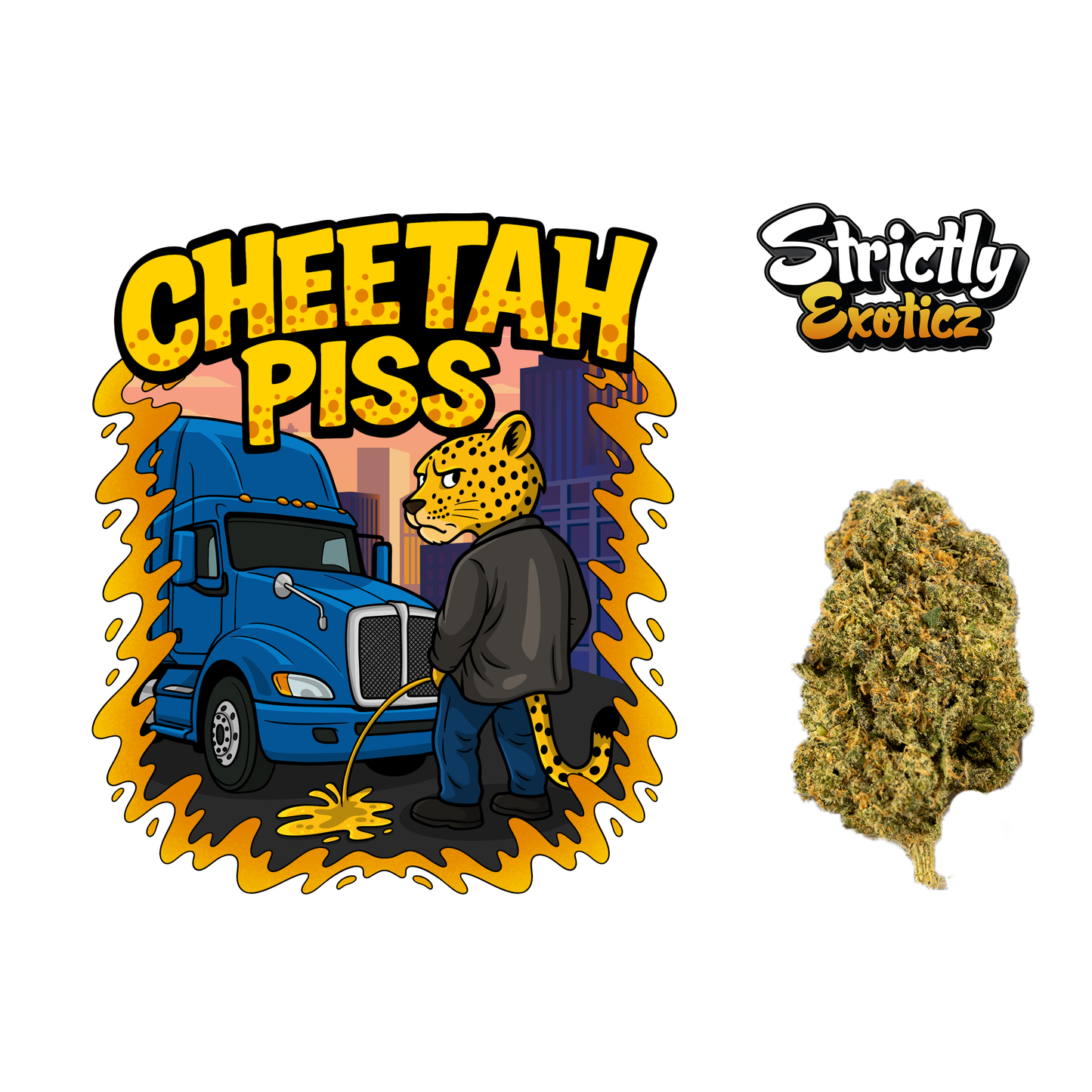 Cheetah Piss (Indoors) - Strictly Dabs