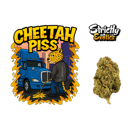Cheetah Piss (Indoors) - Strictly Dabs