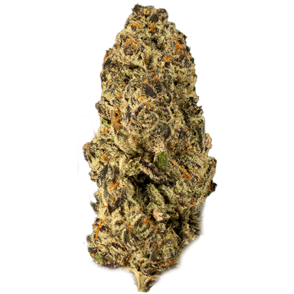 Gorilla Glue