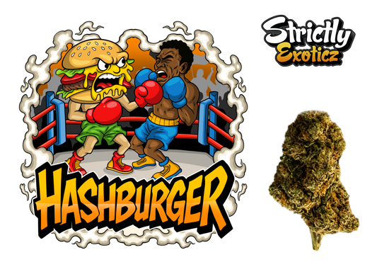 Hashburger