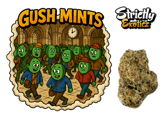 Gush Mint
