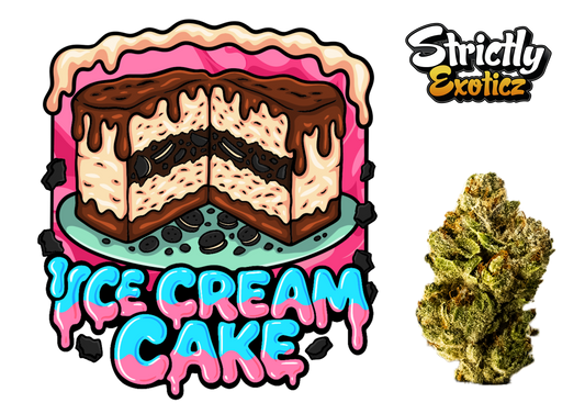 Ice Cream Cake