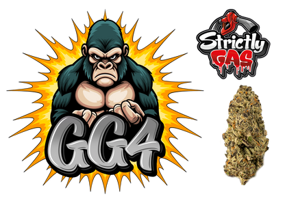 Gorilla Glue