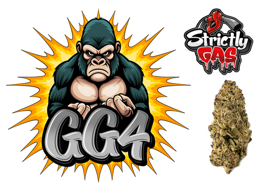Gorilla Glue