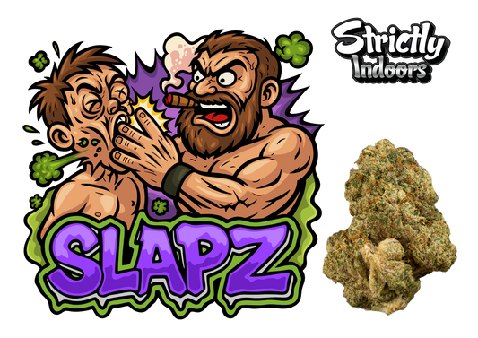 Slapz