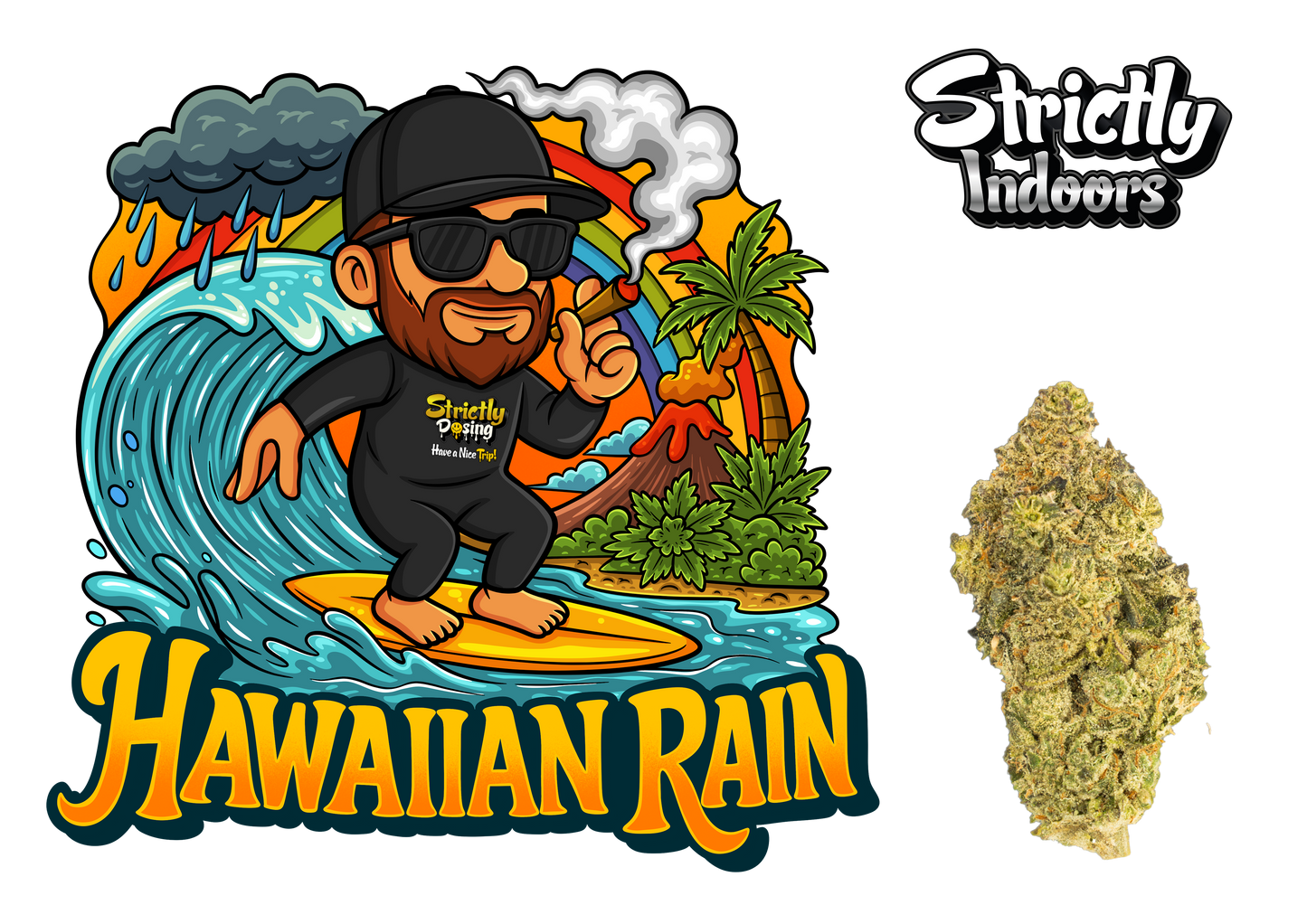 Hawaiian Rain