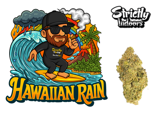 Hawaiian Rain
