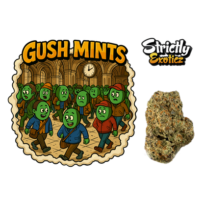 Gush Mints (Indoors) - Strictly Dabs