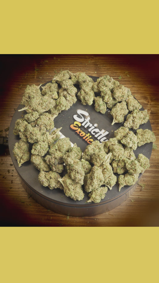 Ice Cream Cake (Exoticz)