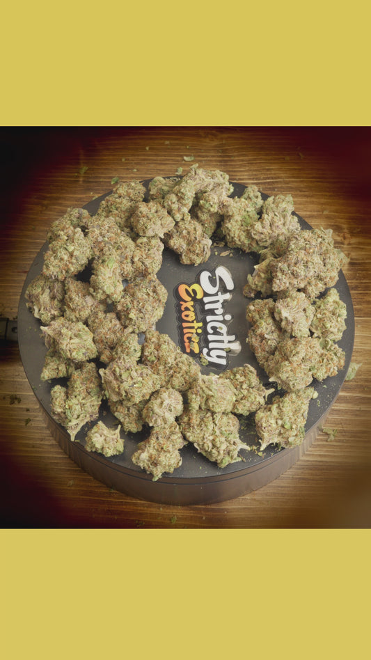 Runtz (Exoticz)