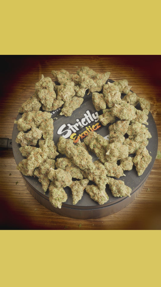 Hashburger (Exoticz)
