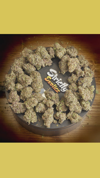 Gorilla Glue