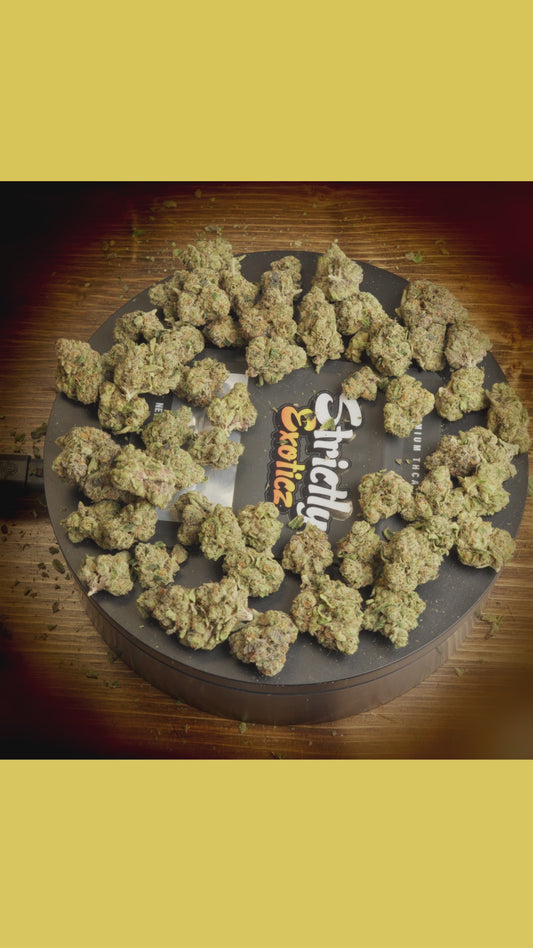 Apple Fritter (Exoticz)