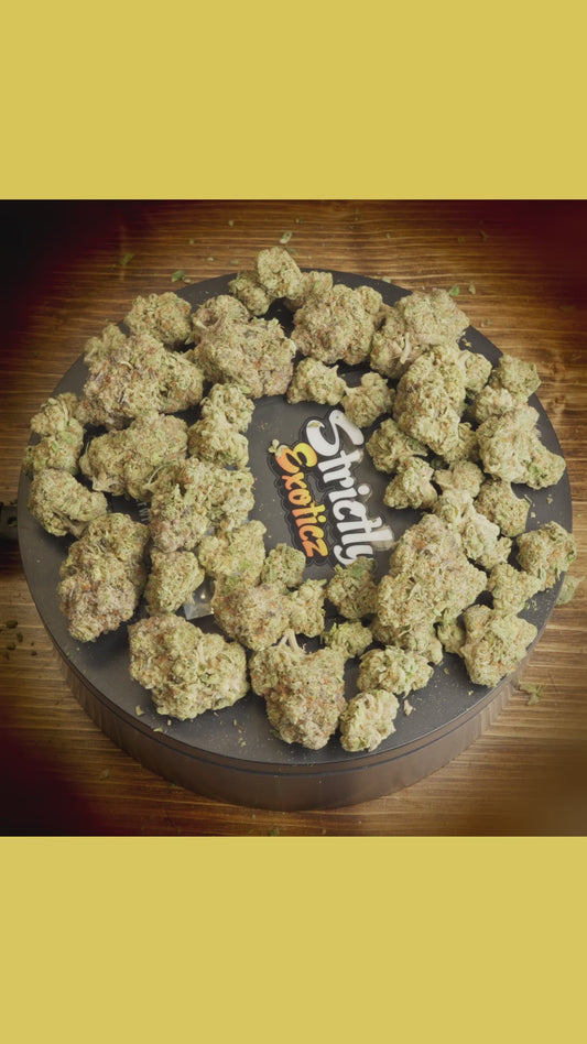 All Time High (Exoticz)