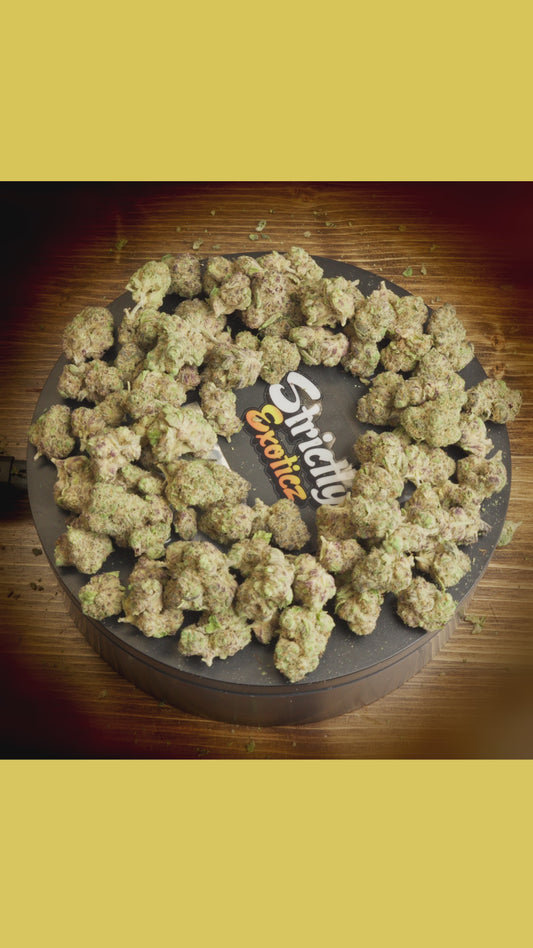 Applescotti (Exoticz)