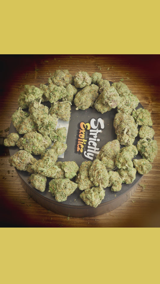 Lemon Cherry Gelato (Exoticz)