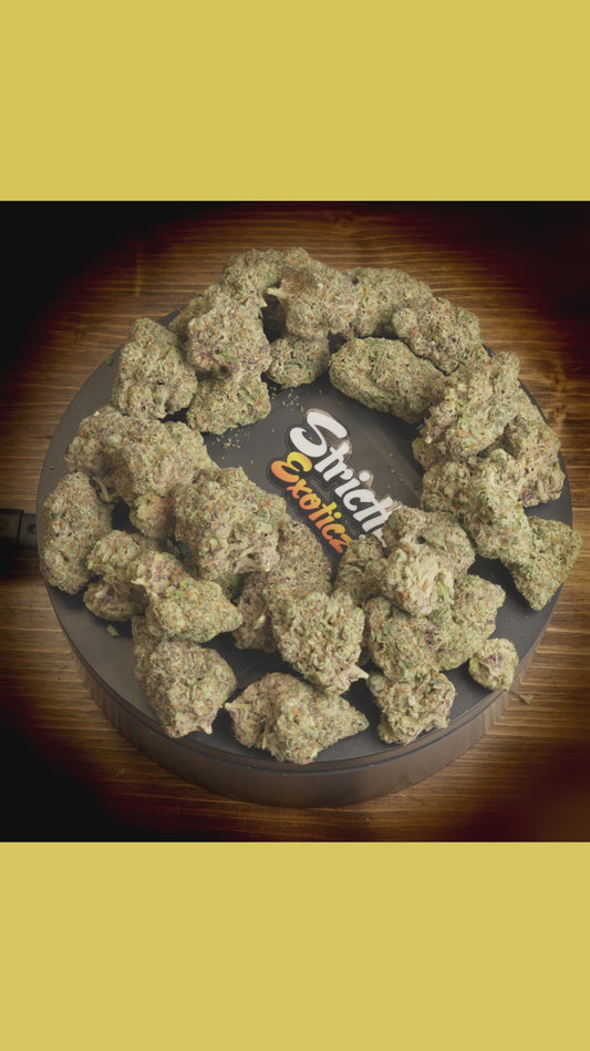 Gush Mint (Exoticz)